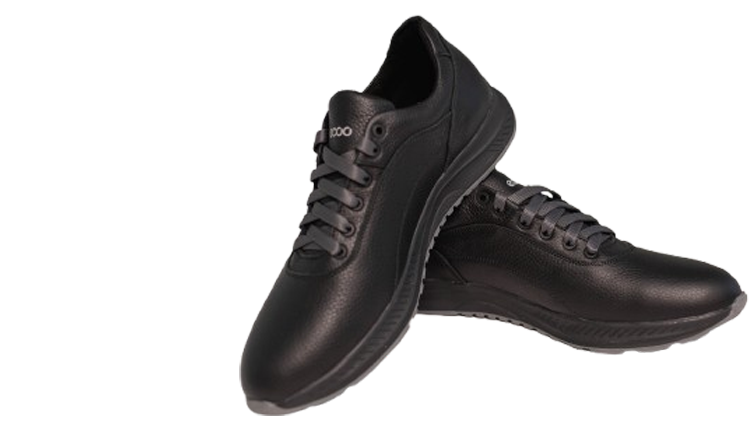 Чоловіче взуття Ecco Lite Black